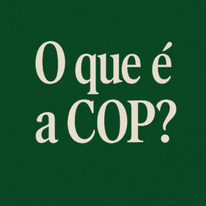COP 30